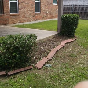 Bush Trimming by 3DM reviewed on August 16, 2025