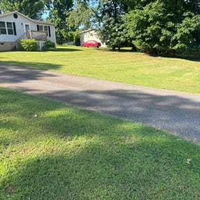 residential landscaping by The Shaquille Davis Group llc. reviewed on August 19, 2025