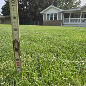 landscape maintenance by Boss Outdoor Service reviewed on August 21, 2025