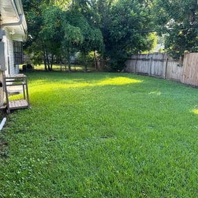 yard care by GTPI Lawncare reviewed on August 20, 2025