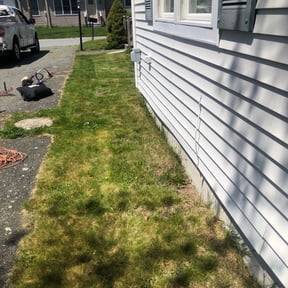 Leaf Removal by Essential Water Works Solutions LLC reviewed on October 1, 2025