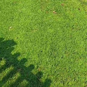 lawn maintenance by Zeroslandscape reviewed on October 16, 2024