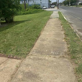 turf care by ADG Lawncare Services, LLC reviewed on November 2, 2023