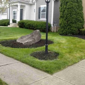 landscape maintenance by Daniel's lawn care service LLC reviewed on August 19, 2025