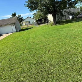 landscape maintenance by A1 Lawncare, Property Maintenance & Preservation reviewed on August 16, 2025