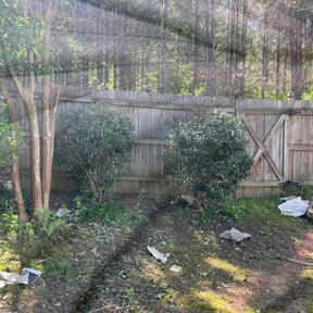 Bush Trimming by Wilsonscape reviewed on August 21, 2025