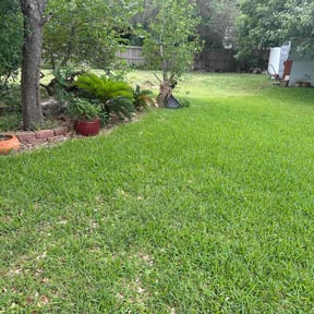 yard care by Touch Of Country Landscaping reviewed on August 16, 2025