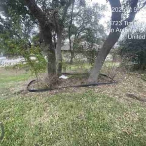 Bush Trimming by Clean Green Lawn Care reviewed on August 19, 2025