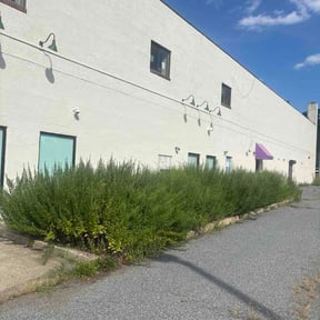 Bush Trimming by Exclusive landscaping reviewed on August 22, 2026