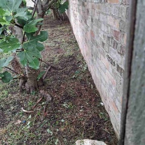 Flower Bed Weeding by Greener Side Lawn Care reviewed on May 7, 2026