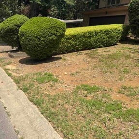 Bush Trimming by Foxes Yard Management reviewed on May 30, 2026