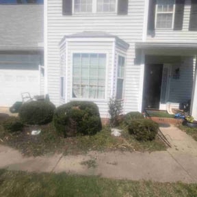 Bush Trimming by Good & Green Grounds Maintenance LLC reviewed on August 17, 2025