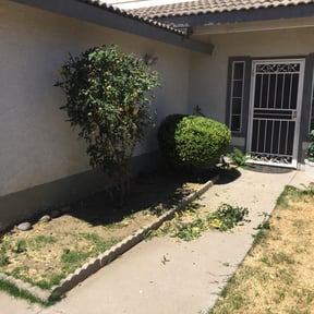 Bush Trimming by Land and Lawn Care reviewed on August 19, 2025