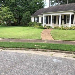 turf maintenance by The Williams reviewed on May 16, 2024