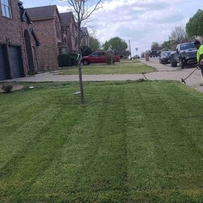 Bush Trimming by Gene's Lawn Care reviewed on August 15, 2025