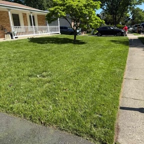 landscaping services by Community First Lawncare reviewed on August 19, 2025