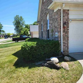 Bush Trimming by Deal's Lawn Maintenance reviewed on August 18, 2025