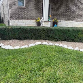 Bush Trimming by DClandscapeing reviewed on October 19, 2025