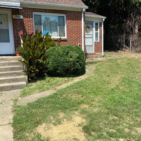 Bush Trimming by HTS Landscapes reviewed on October 20, 2025