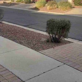 Bush Trimming by Florida's Finest Property Maintenance reviewed on August 20, 2025