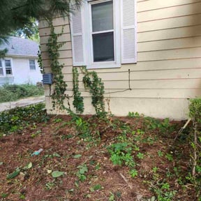 Bush Trimming by Jon&#039;s ASAP Lawn Service reviewed on October 23, 2025