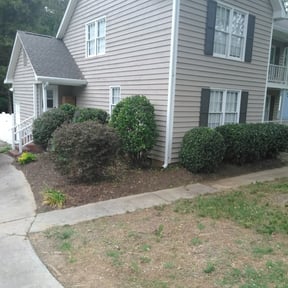 Bush Trimming by Corey's Cuts Lawncare LLC reviewed on August 18, 2025