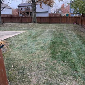 Leaf Removal by T&amp;T Kutz reviewed on November 24, 2025