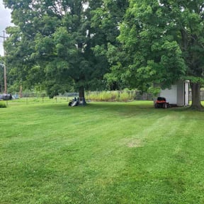 yard work by Dietrich’s Property Maintenance reviewed on August 16, 2025