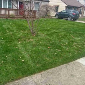 lawn care by B&M Paradise services LLC reviewed on April 21, 2024