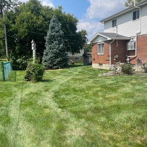 lawn service by Falkner's mowing and service reviewed on May 27, 2025