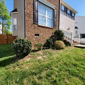 Bush Trimming by ShiftChange LLC Lawn Service reviewed on August 18, 2025