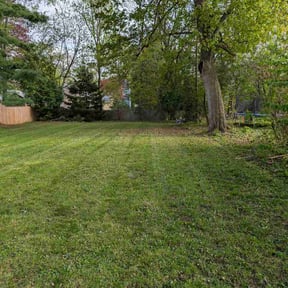 Leaf Removal by Lawn lovers landscaping reviewed on June 18, 2026