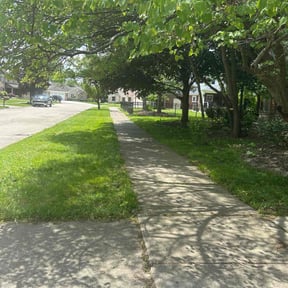 turf maintenance by Champion Lawn Service reviewed on July 27, 2025