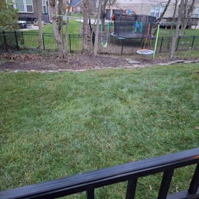 Leaf Removal by S&amp;S Landscaping reviewed on November 22, 2025