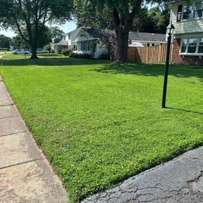 grass cutting by Dave&#039;s Lawncare reviewed on August 19, 2025