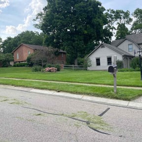 landscaping by Adams Paiz reviewed on July 9, 2022