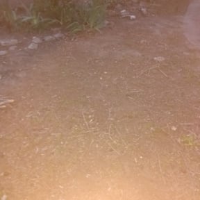 Leaf Removal by Lawn Care Co. reviewed on September 20, 2025