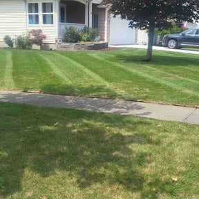 residential landscaping by Charleston Green Team LLC. reviewed on August 19, 2025