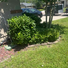 Bush Trimming by Ennis Lawn Care reviewed on August 19, 2025