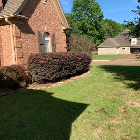 Bush Trimming by Álvarez Landscaping & Remodeling LLC reviewed on August 15, 2025