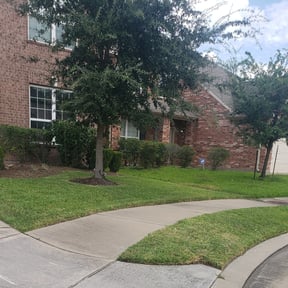 Bush Trimming by McNeil's lawn care & maintenance reviewed on August 16, 2025