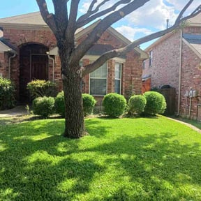 lawn maintenance by SGP Lawn Services reviewed on August 21, 2025