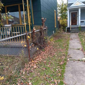 Bush Trimming by Santos Benites Landscaping LLC reviewed on August 15, 2025