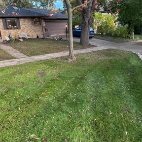 Leaf Removal by Turnerz Does it All reviewed on November 6, 2025