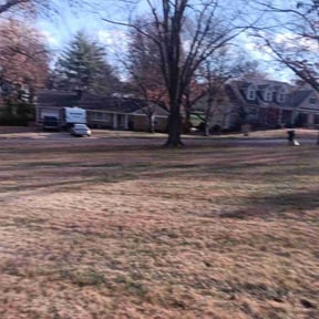 Leaf Removal by GrassPro Solutions reviewed on December 3, 2025