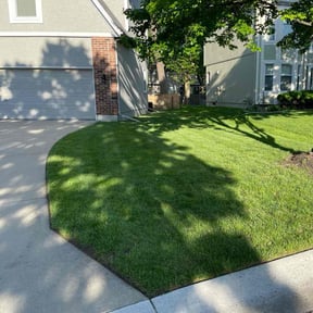 landscaping services by Mauney Underground reviewed on August 19, 2025