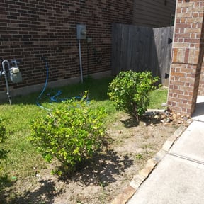 Bush Trimming by Doug's Lawn Care reviewed on August 20, 2025