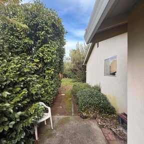 Bush Trimming by C&amp;c llc reviewed on November 21, 2025