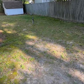 Leaf Removal by Perfect Touch reviewed on April 28, 2026