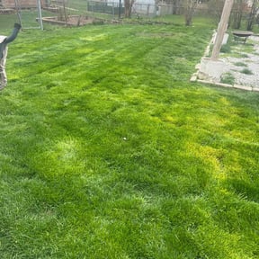 lawn maintenance by Lone Star Landscaping Group 2919 reviewed on August 18, 2023